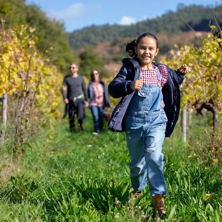 Quinta De Carcavelos Natures *