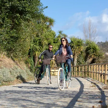 Quinta De Carcavelos Natures Bauernhof Amarante