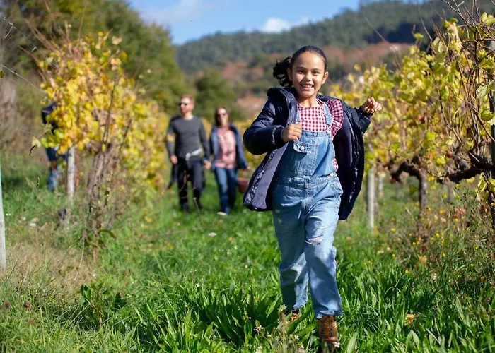 Quinta De Carcavelos Natures *