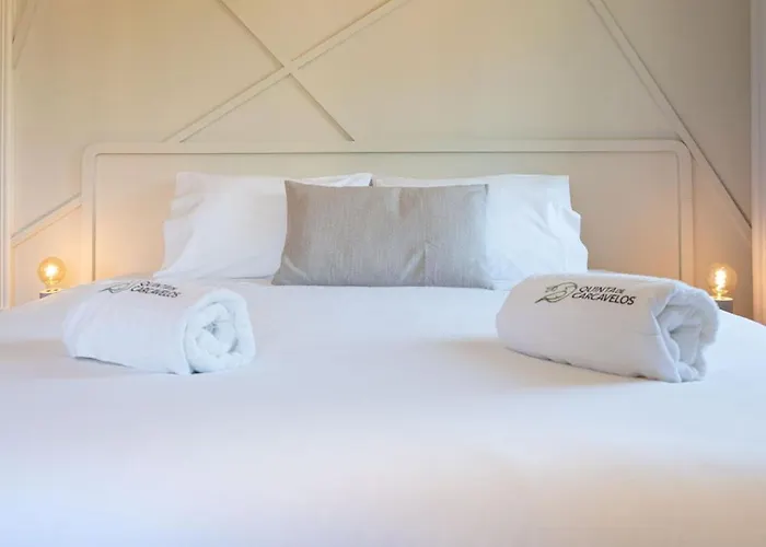 Quinta De Carcavelos Natures Vakantieboerderij Amarante